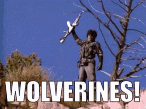 untitled.gif