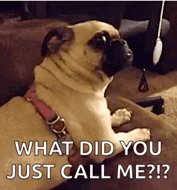untitled.gif