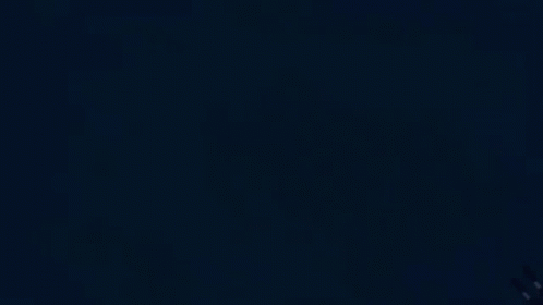 untitled.gif