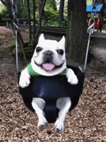 untitled.gif