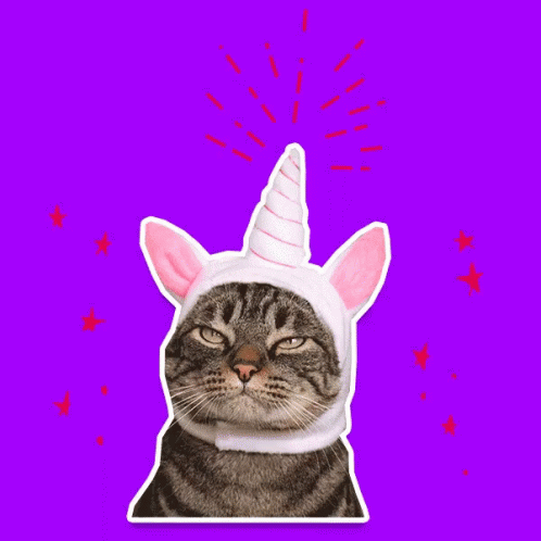 untitled.gif