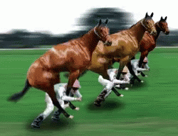 untitled.gif
