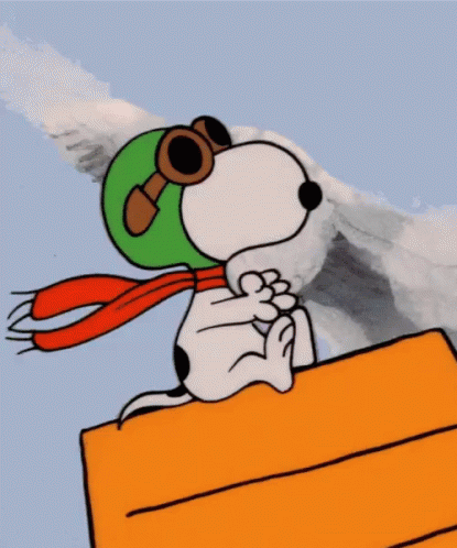 untitled.gif
