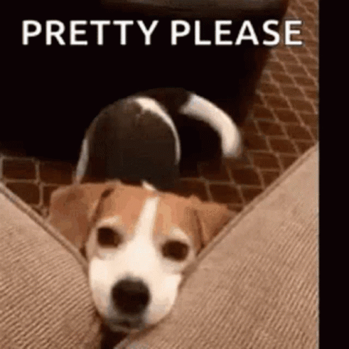 untitled.gif