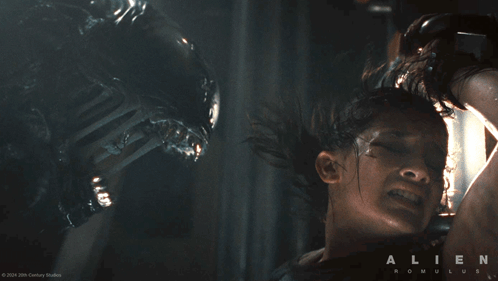untitled.gif