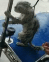 untitled.gif