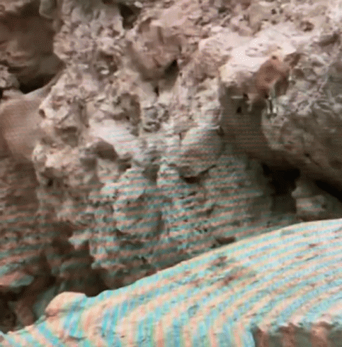 untitled.gif