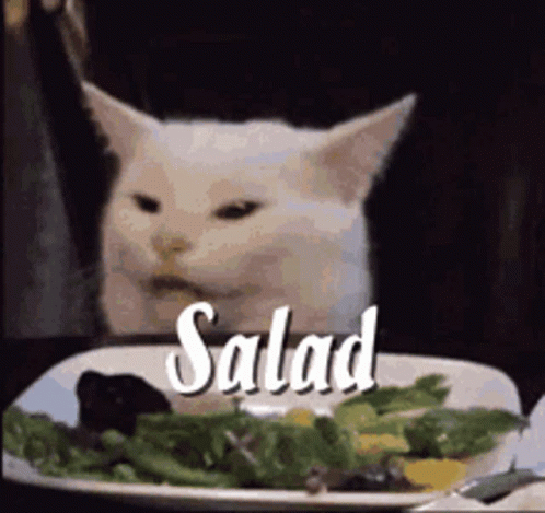 salad