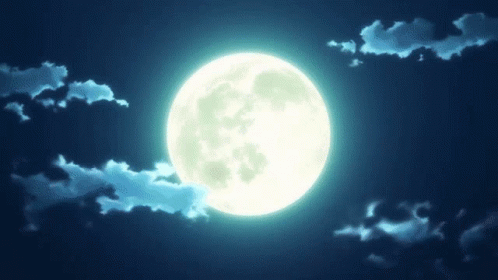 untitled.gif