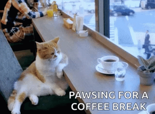 untitled.gif