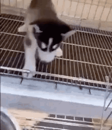 untitled.gif