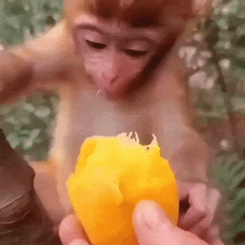 untitled.gif
