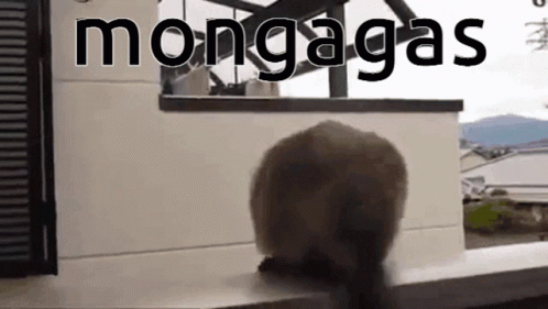 untitled.gif
