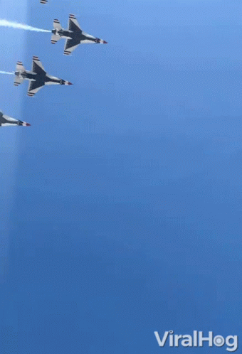 untitled.gif