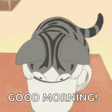 https://media.tenor.com/eBHCgZYtIJUAAAAM/cat-anime.gif