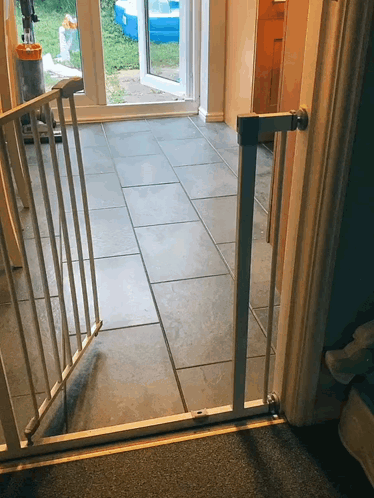 untitled.gif