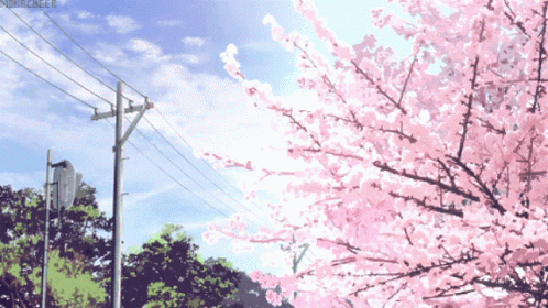 untitled.gif