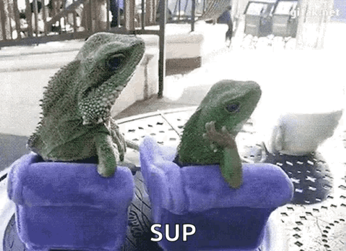 untitled.gif