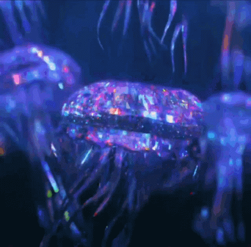 untitled.gif