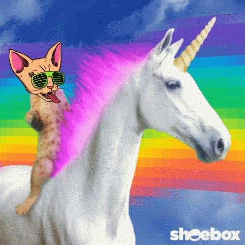 untitled.gif