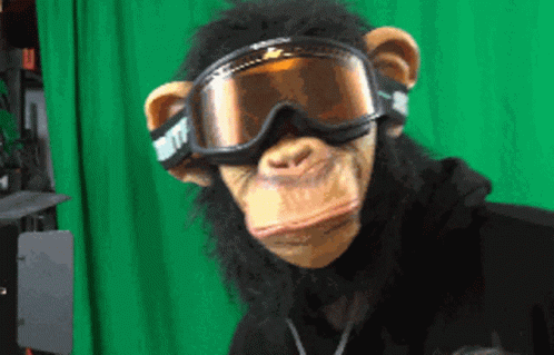 untitled.gif