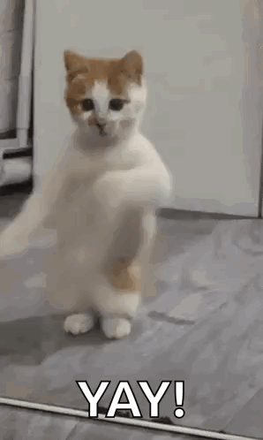 untitled.gif