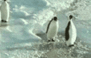 untitled.gif