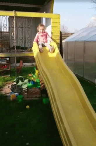 untitled.gif