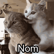 untitled.gif