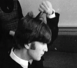 untitled.gif