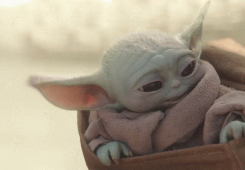 untitled.gif