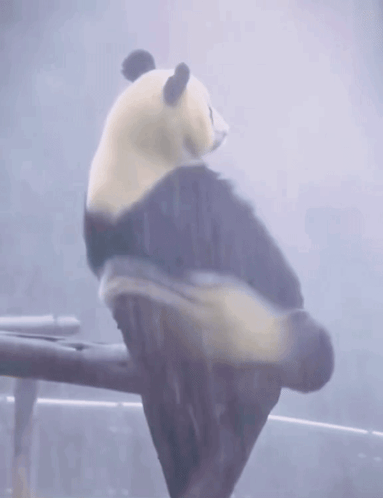 untitled.gif