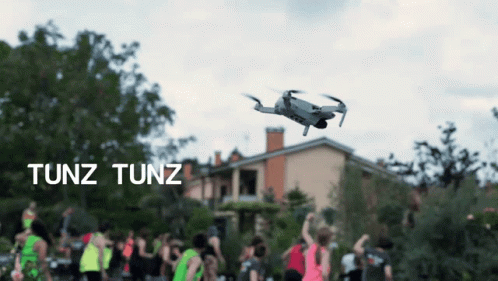 untitled.gif