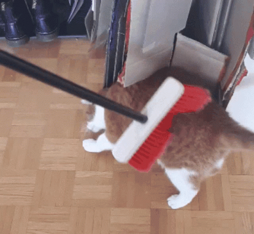 untitled.gif