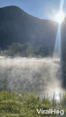 untitled.gif