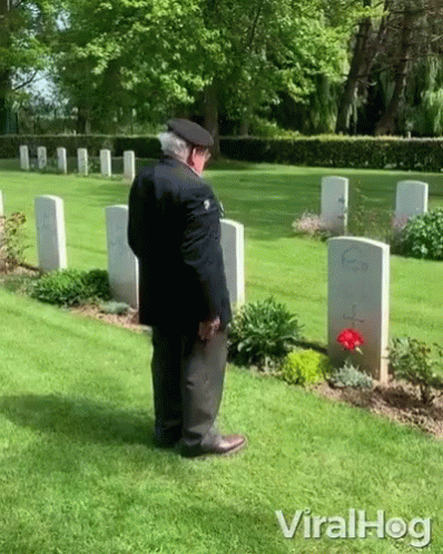 untitled.gif