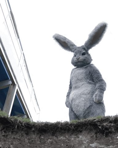 untitled.gif