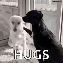 untitled.gif