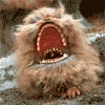 untitled.gif