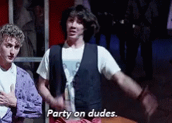 PARTY ON, DUDES!