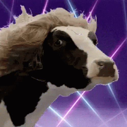 untitled.gif