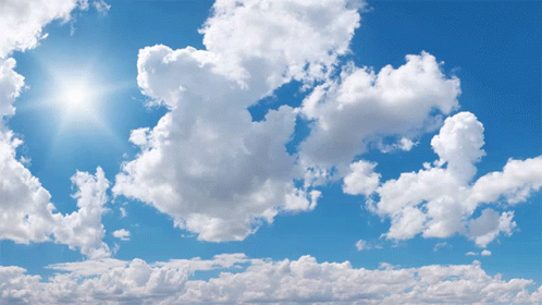 untitled.gif
