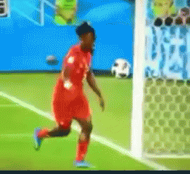 untitled.gif
