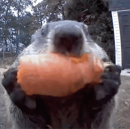untitled.gif