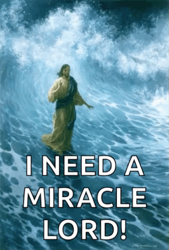 untitled.gif