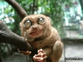 untitled.gif