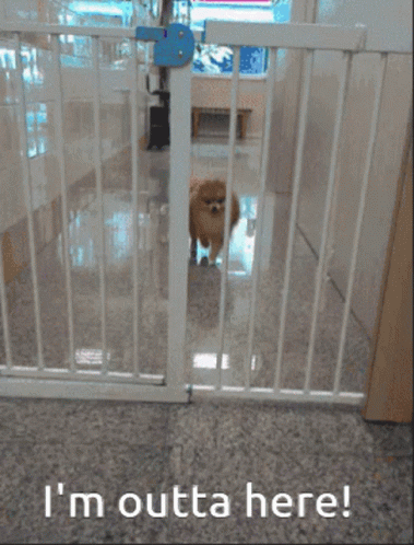 untitled.gif