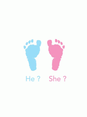 untitled.gif