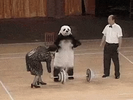 untitled.gif