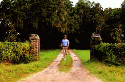 GIF showing a clip of the Forrest Gump movie
